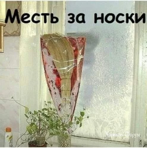 47940b08caa6ce5d8ee1e.webp