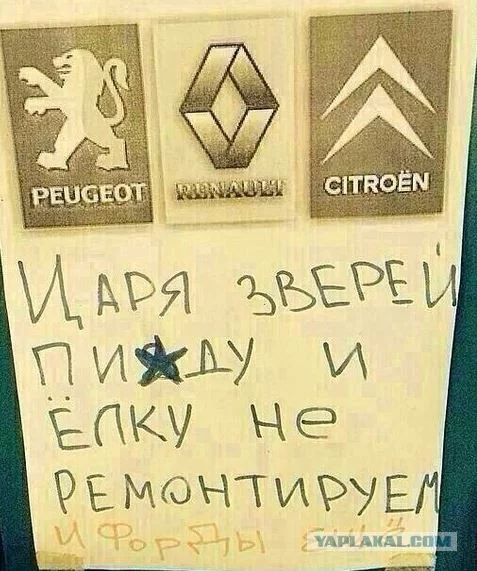 4799879.webp