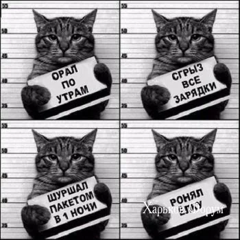479c5e15391612dff67c7.webp