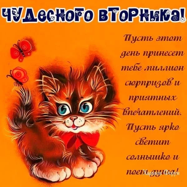 479cd08e84f3d770e80e4.webp