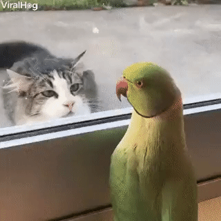 47d5976c8fc756fd6e.gif