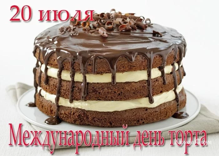 47e2757c470b255bd093d5.webp