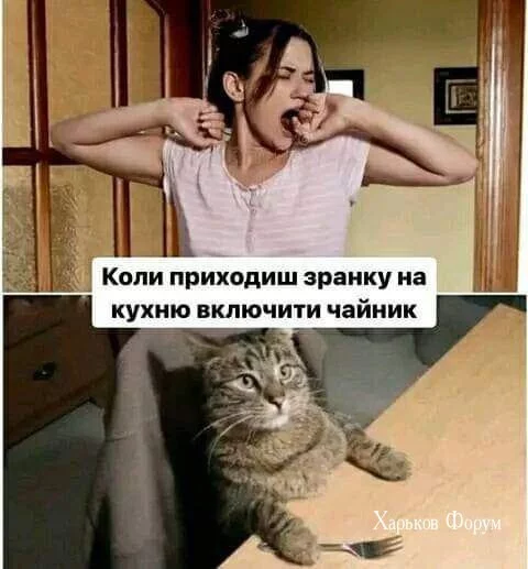 47f880e433eaaeab29.webp