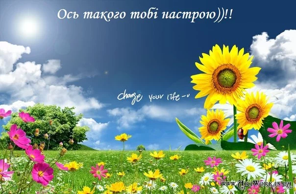 47Ma8UQ1Yo8.webp