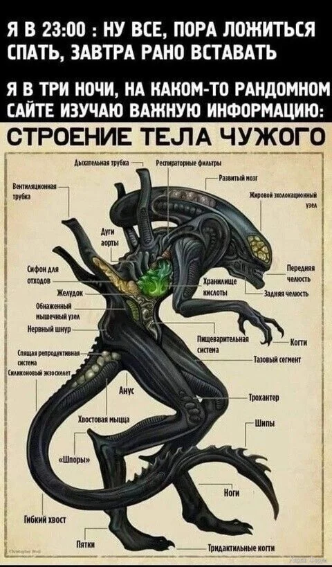 480323799_3841566329491846_3704792265393181911_n.webp