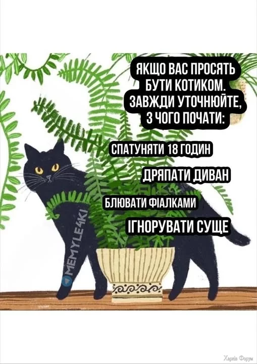 480440805_629162296429527_6905093127120790540_n.webp