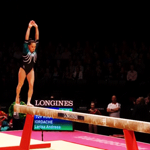 480b587d6e22af5000859.gif