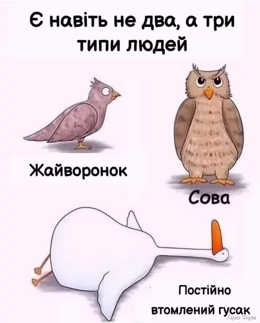 481083940_1178477990947935_3783592507890219059_n.webp