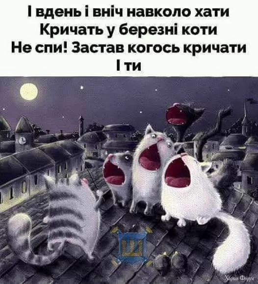 481157968_1367844630877018_6012328460043671345_n.webp