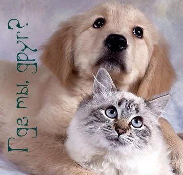 48124452_0006dxeh.webp