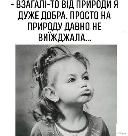 481900586_1771053220112619_8396156806243815465_n.webp