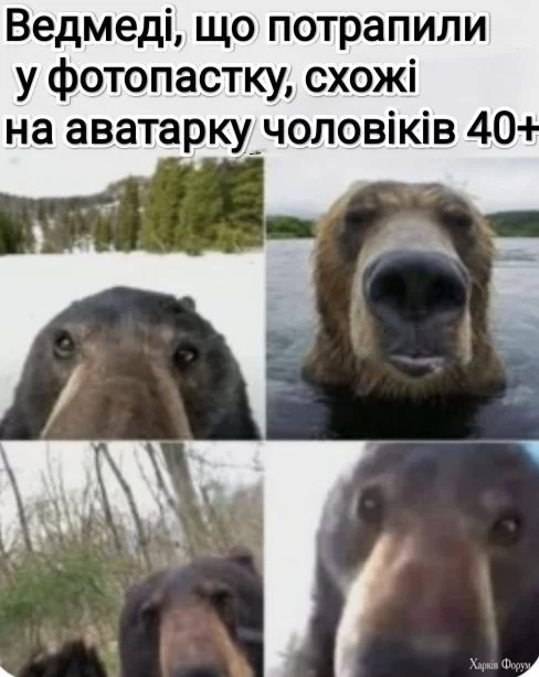 481903508_1149692059940164_539735800435164355_n.webp