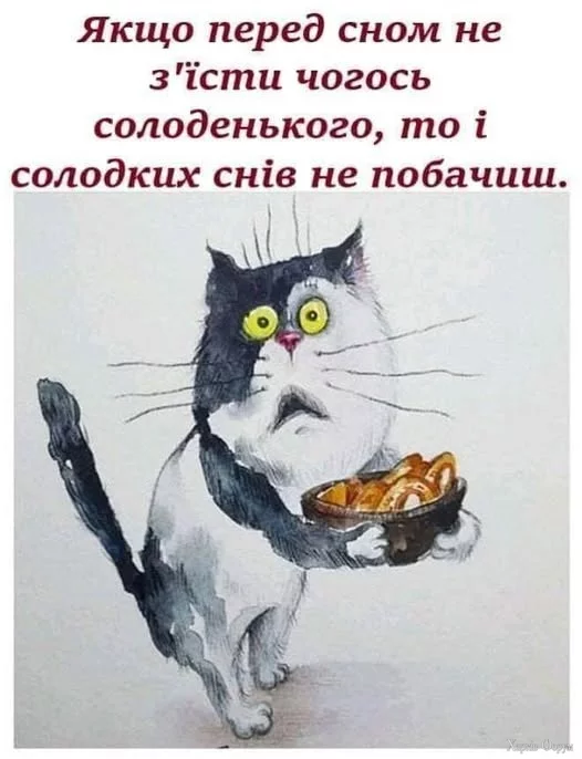 481904851_947856514224696_4654232562318163630_n.webp