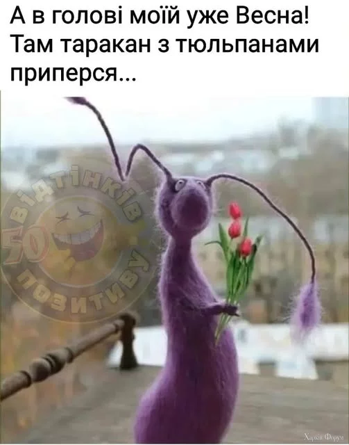 481924400_1390377555708073_5995194239206671226_n.webp