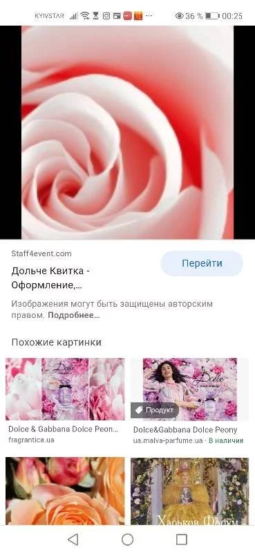 4821ce7e73b8992a61.webp