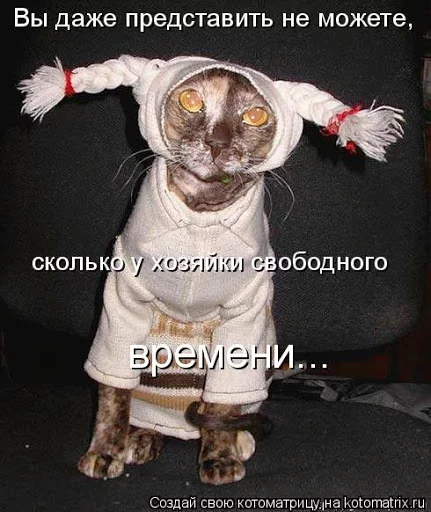 483485.webp