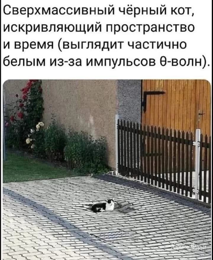 483512ef39628d3675.webp