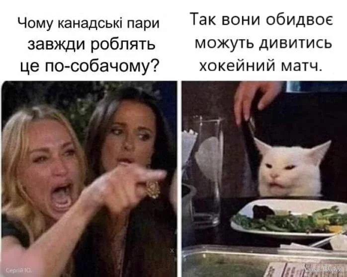 483570618_2128832240908860_1656900720905575883_n.webp