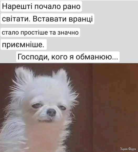 483615622_1053742396782857_653287688412736897_n.webp