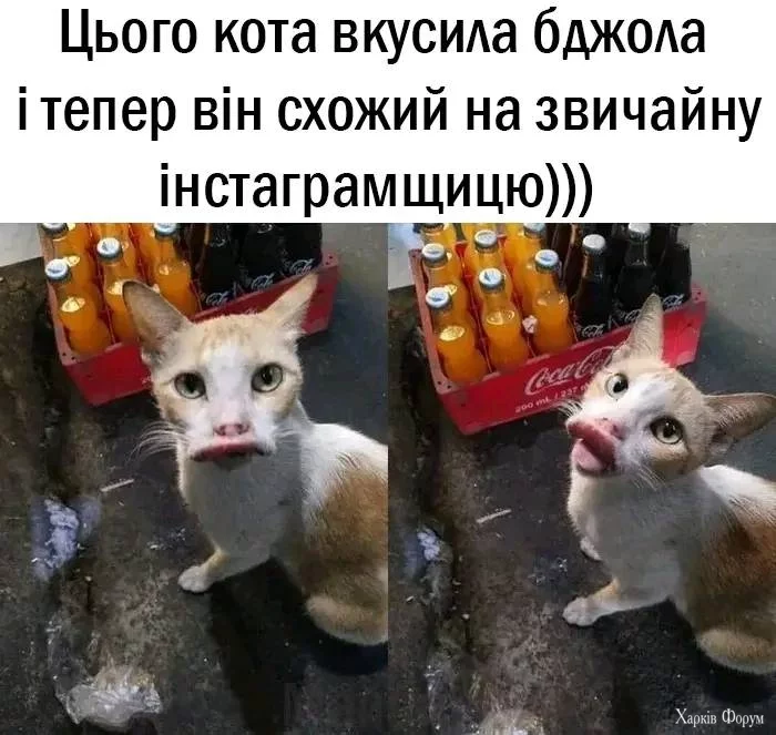 483934274_9243431362406643_8932883834337540426_n.webp