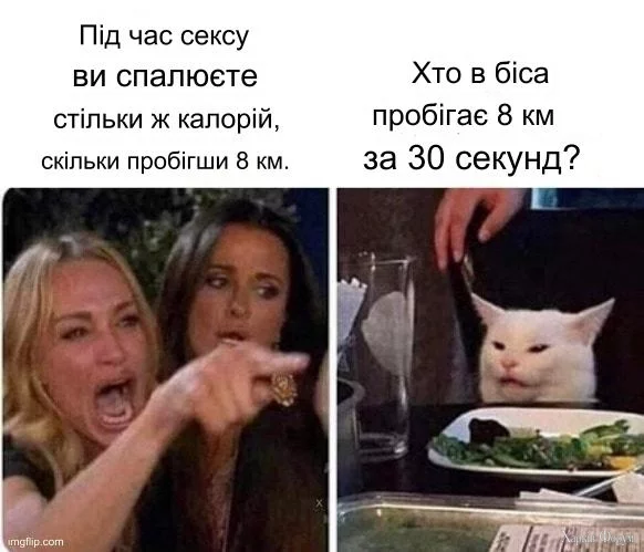 484845892_1375670870094394_6595374099316042779_n.webp