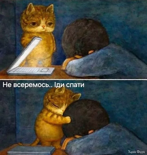 486063292_1084767787011996_7784560593751849194_n.webp
