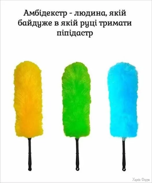 486804185_1157943409411922_6478570125787090703_n.webp