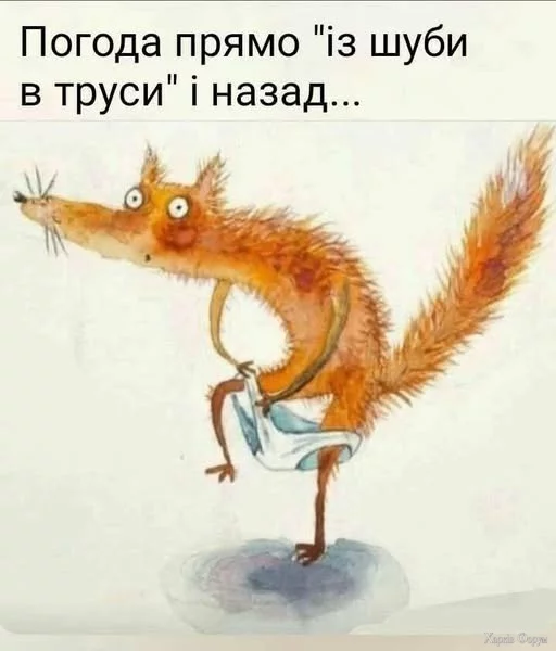 487378798_1196015485381236_2462712898284709000_n.webp