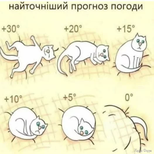 487822175_989994329777552_1307359198638141435_n.webp
