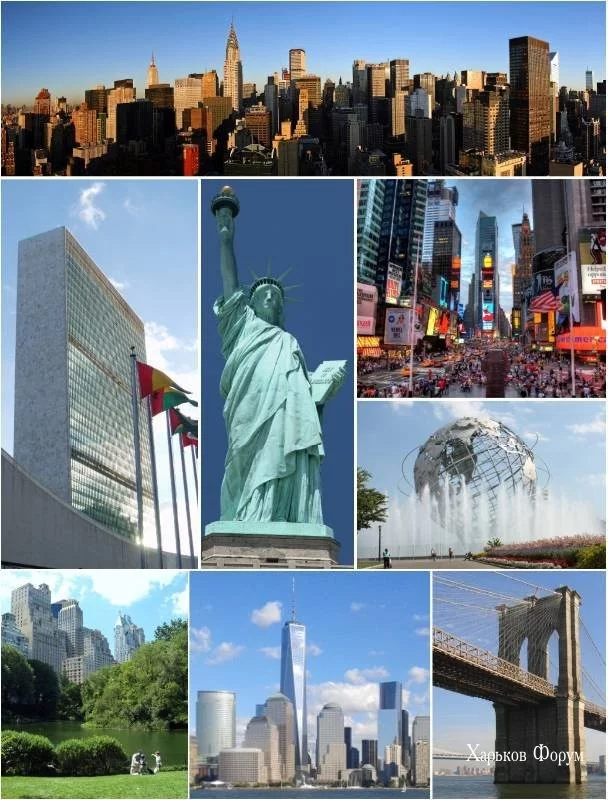 487d0339f0db24dd39d98.webp