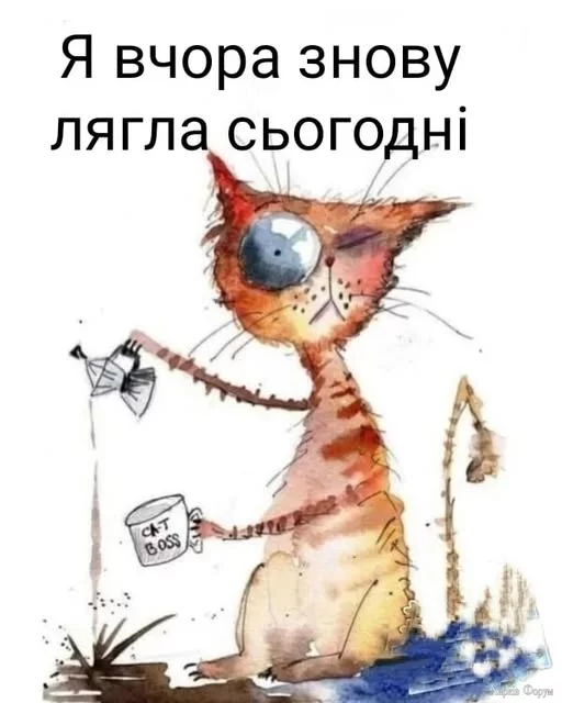488186446_1256729845809496_1089985444947165204_n.webp