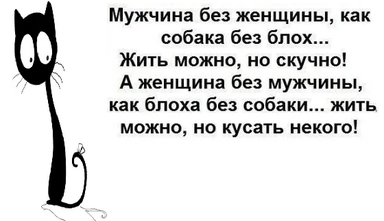 4884541952&plc=WEB&tkn=_iIetYAKiogDWPmKirUN8nDPzKc.webp