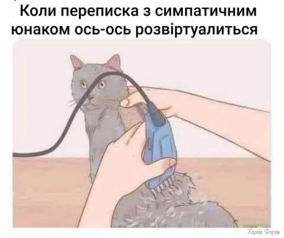 488457214_9285328578245891_1688133081752628648_n.webp