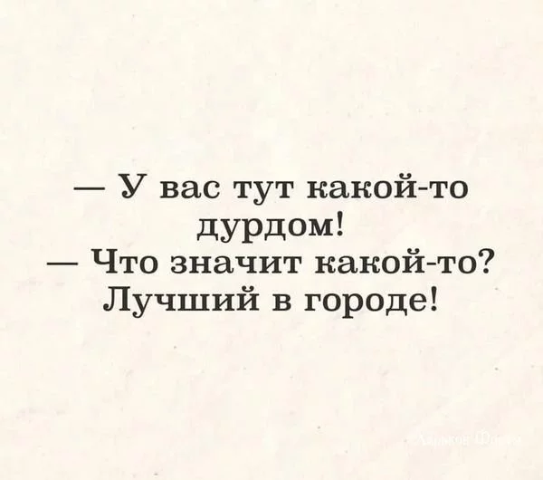 48891abb90c03bbf761fbc.webp