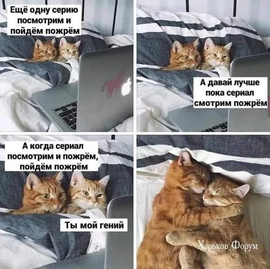 488f7931f83fb2c180f0b38.webp