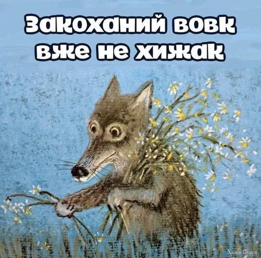 489016867_961487622814289_7263661832563455114_n.webp