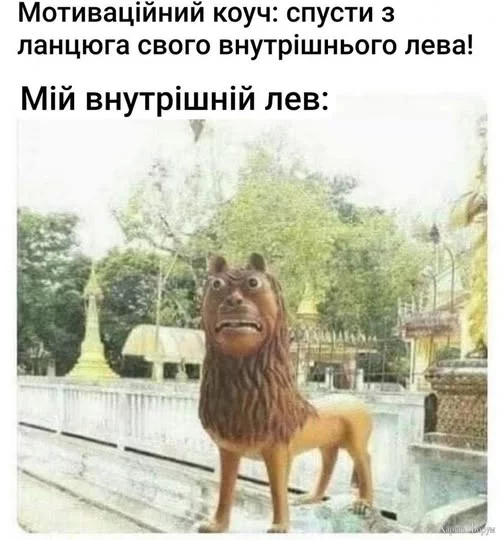 489297886_1204228855046382_7137110639781236270_n.webp