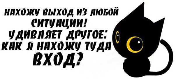 489f2983dce548ab079ae5ee463e5cec.webp