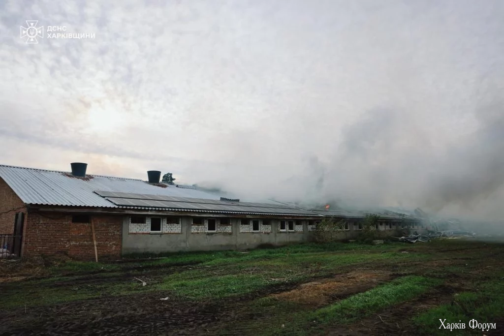 Вбили свиней на Харківщині