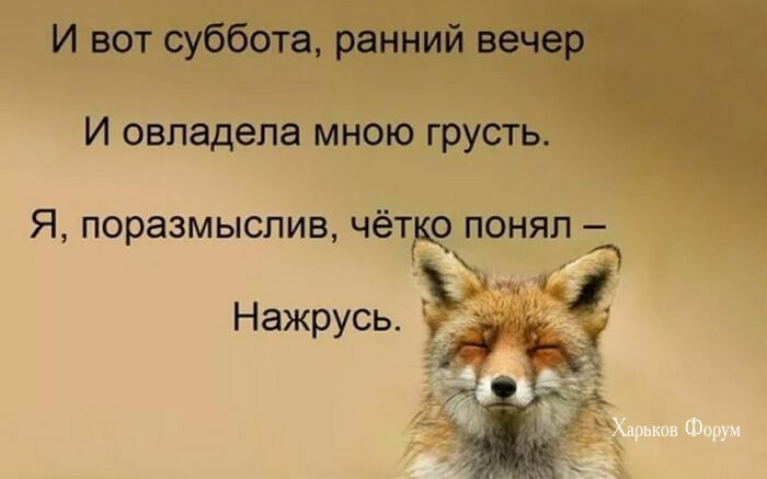 48a22a0db6e4fa9c5b0dc05.jpg