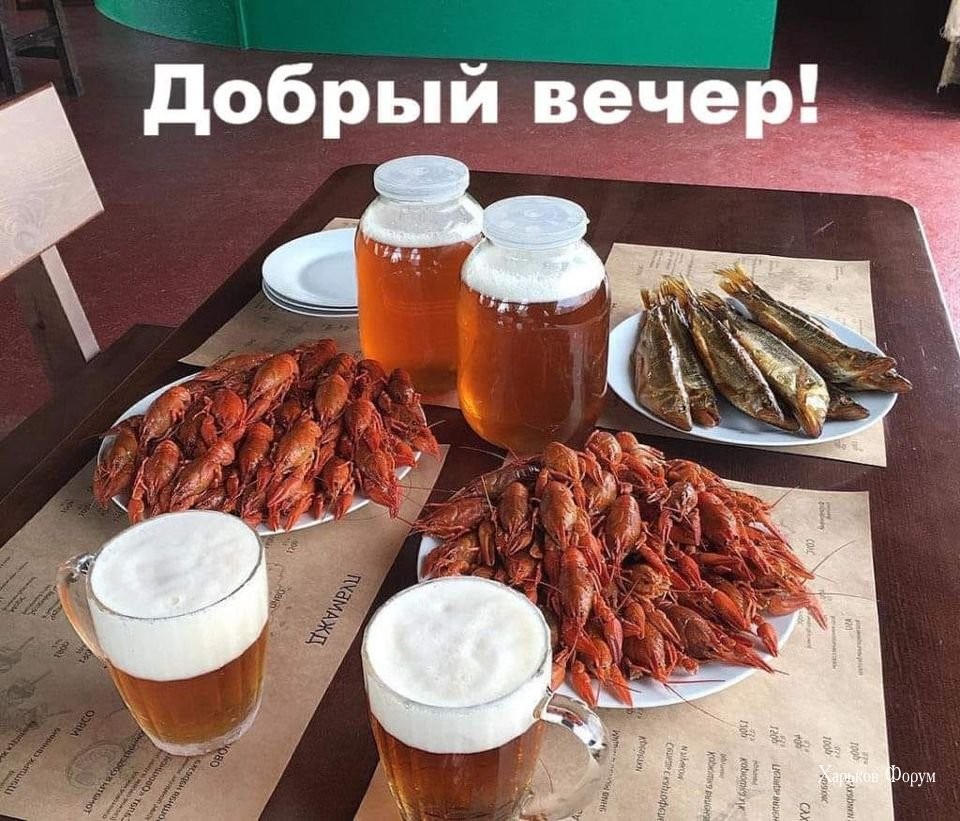 48a70e467a837a173635e2.jpg