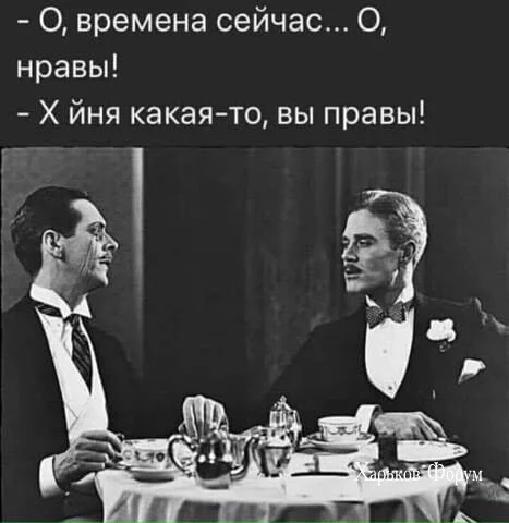 48adf3bde0793da92e.webp