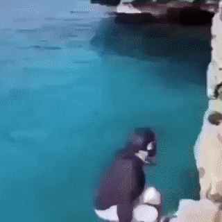 48b571fa98bacd53d2fe69.gif