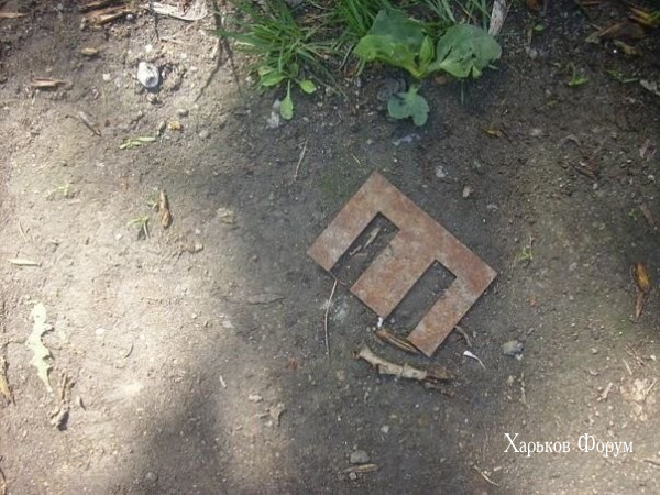48b8962c84354ee52.png