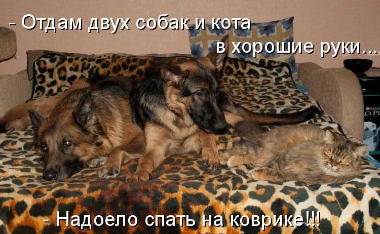 48b8a6e235888aa168c18e2b5b49fe3c.webp
