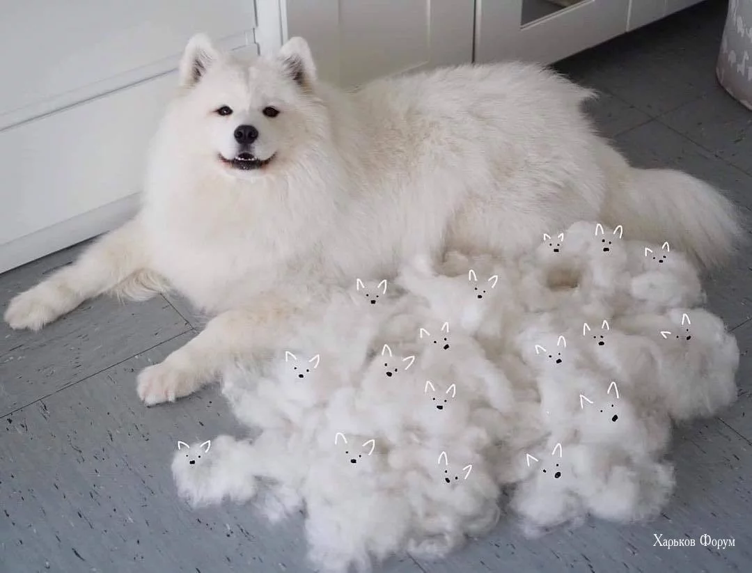 48c1e9e26640d77a.webp
