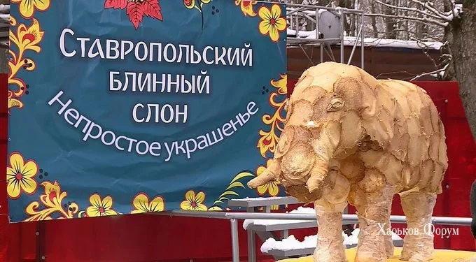 48c54828e816d274.webp