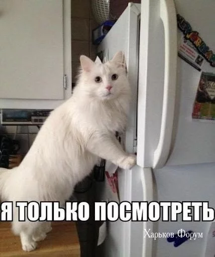 48d45f1ee16ecc16385.webp