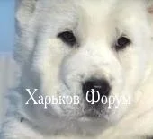 48e4d05e126db55a5e57.webp