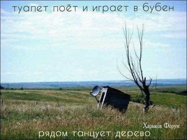 48e54e0cbbf454272.webp